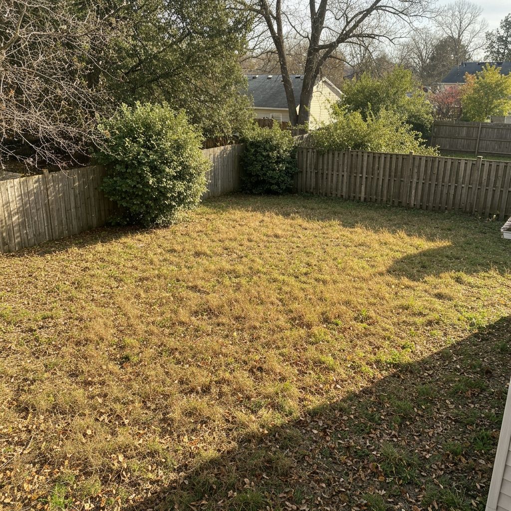 Backyard Cleanup - Before